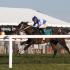 Kentucky Downs 2015 Racing Season